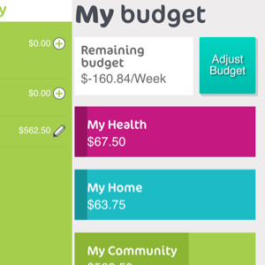 Custom Rails App helping people to budget for their HomeCare needs.